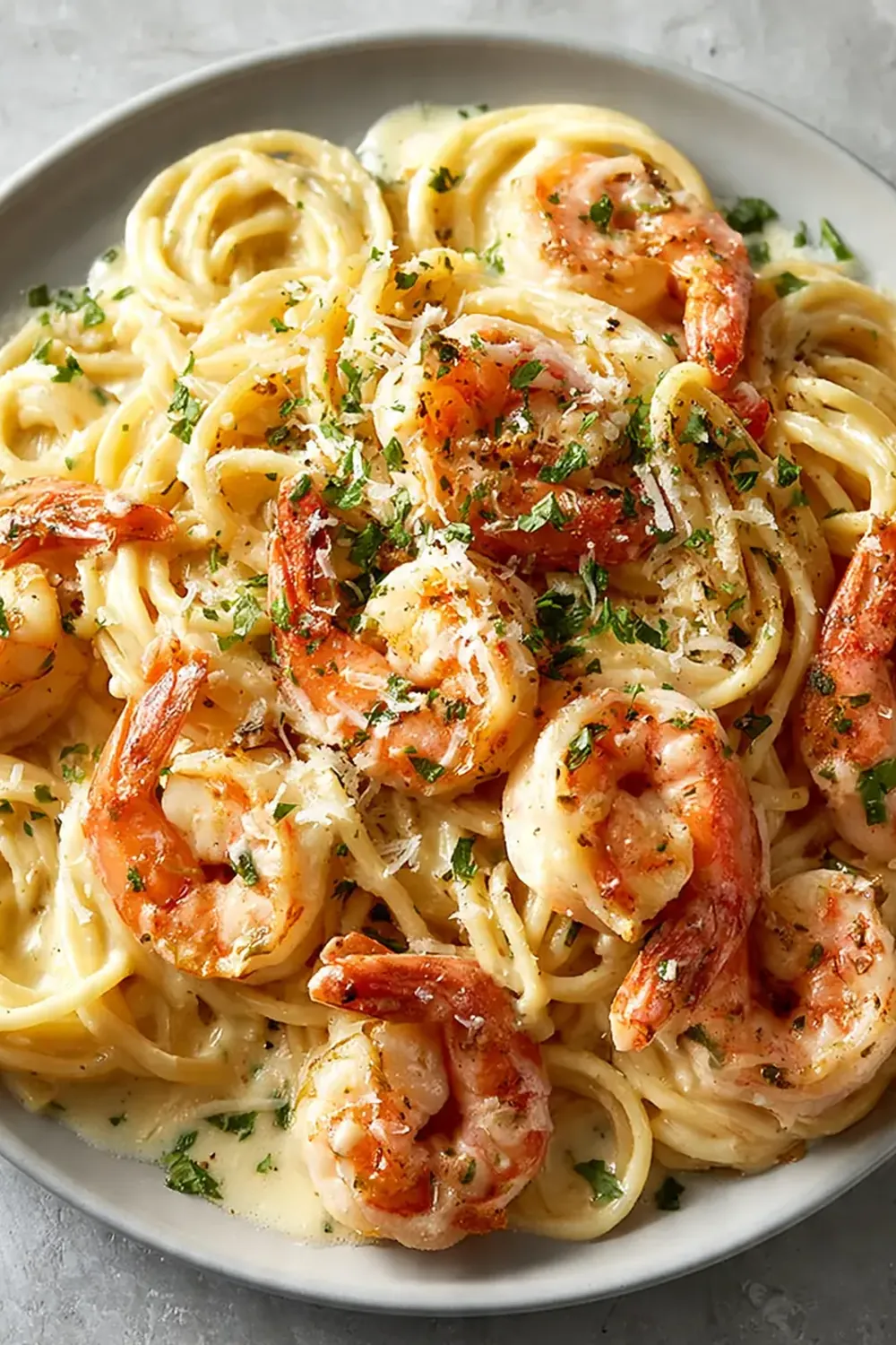 Creamy Shrimp Spaghetti Recipe