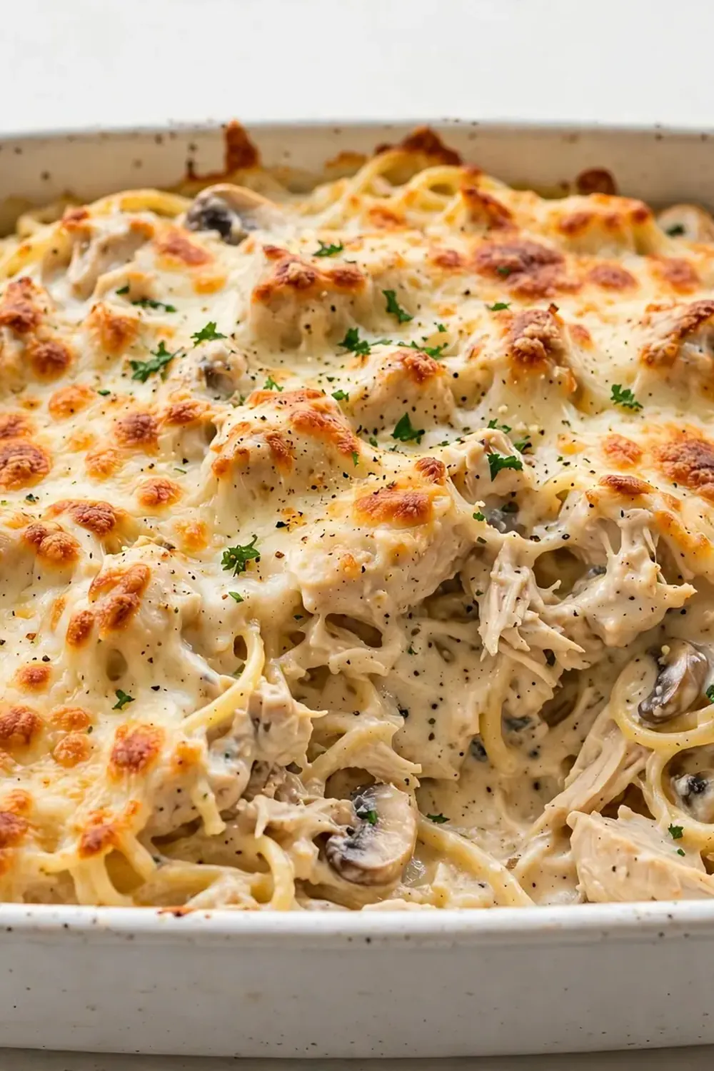 Cheesy Chicken Tetrazzini